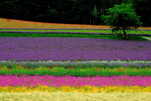 649579 (a): :1920x1285
